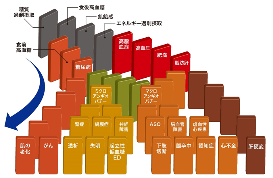 メタボリックドミノ図